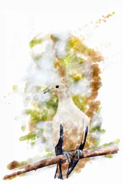 Watercolor painting a bird. — Stock Photo, Image