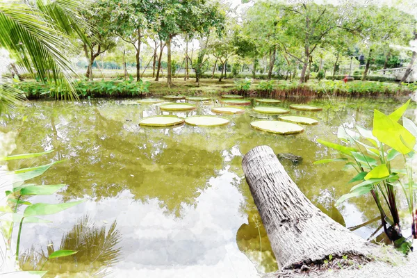 Pittura ad acquerello nel parco . — Foto Stock