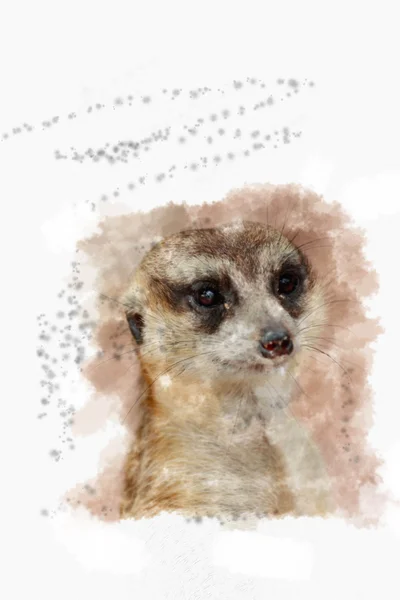 Meir Cat pintado com aquarelas
. Imagens Royalty-Free