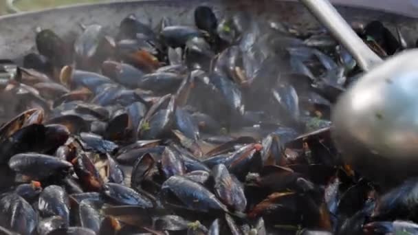 Mussels cooked in large cauldron — Stock Video