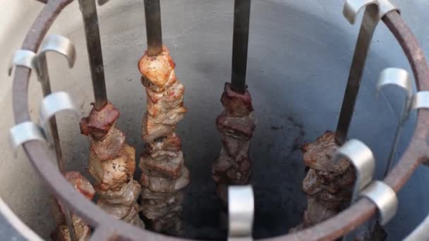 Cucinare carne in fiamme in tandoor — Video Stock