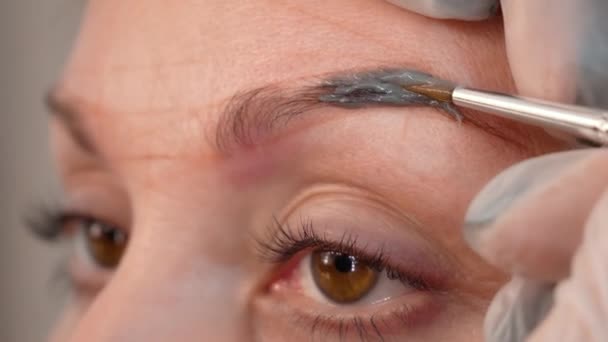 Coloration professionnelle des sourcils — Video