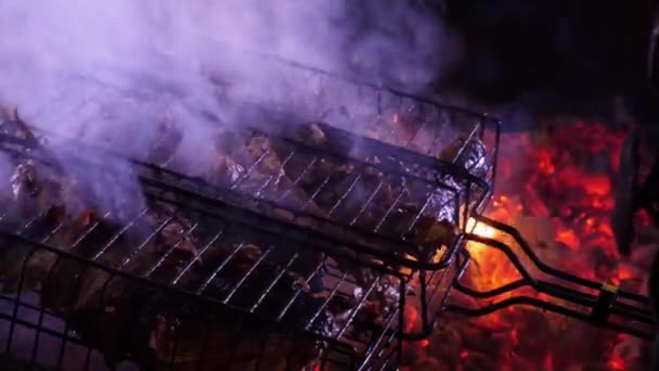 户外烧烤烤架 — 图库视频影像