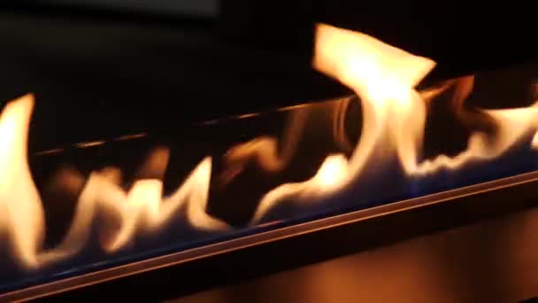 Feuerlinie brennt — Stockvideo