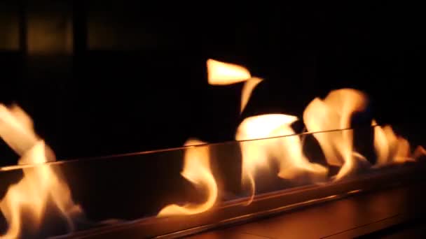 불붙은 줄 — 비디오