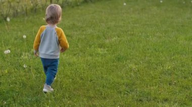 Küçük çocuk çayırı, dikiz manzarasını, sığ odak noktasını keşfeder. Bebeklik taslayan tasasız çocukluk ve keşif büyüsü. Karahindiba şişmesi, canlı karahindiba tarafından büyülenmiş, zevk veren doğal güzellik.