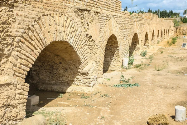 Roman Aqueduct near Carthage — Stock Photo, Image