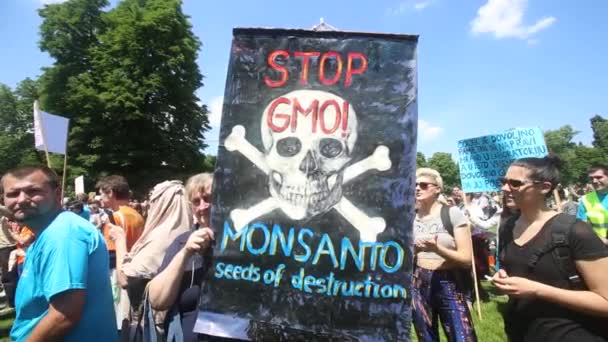 Stop Gmo sign — Stock Video