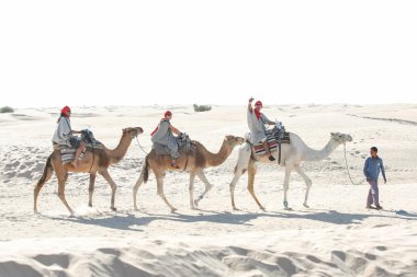 Bedevi önde gelen turist grubu Develer üzerinde