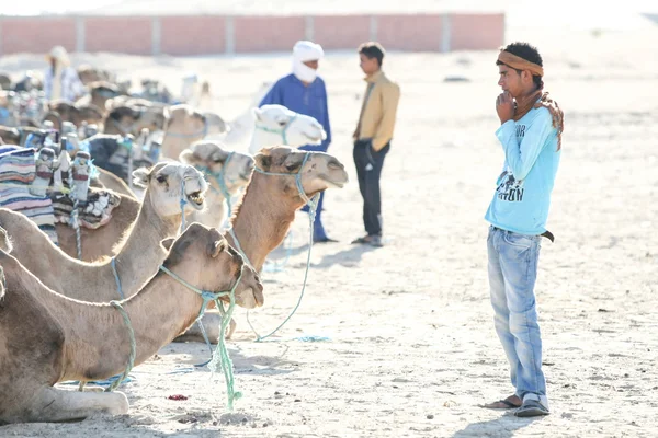 Beduinos con camellos en Sahara — Foto de Stock