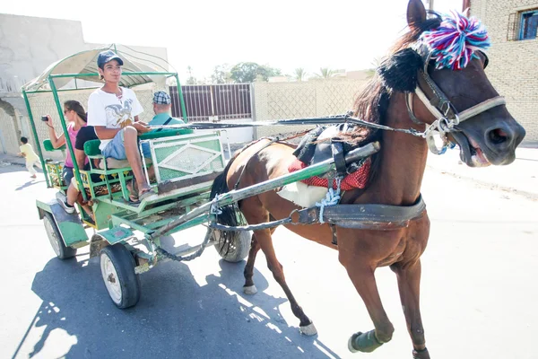 Carriage in Tozeur — Stock Photo, Image