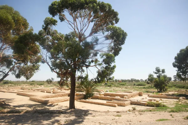 Excavations in Jilma — Stock Photo, Image