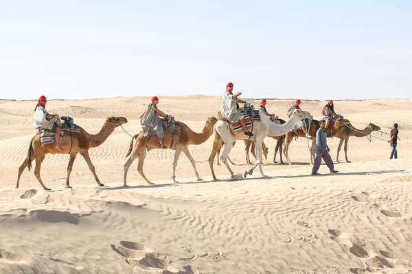 Toeristen op kamelen in de Sahara — Stockfoto