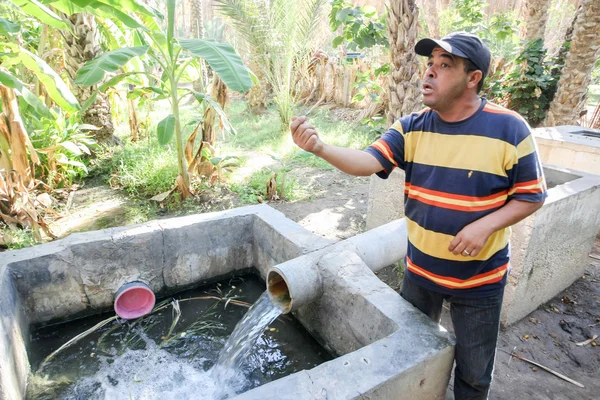 Suministro de agua en oasis — Foto de Stock