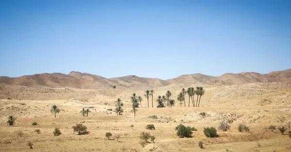 Rotsachtige woestijn van de Sahara — Stockfoto