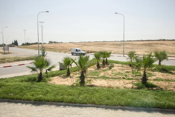 Tunische Kreuzung mit Palmen — Stockfoto