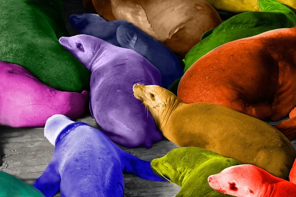 Colorful abstract of sea lions resting on dock