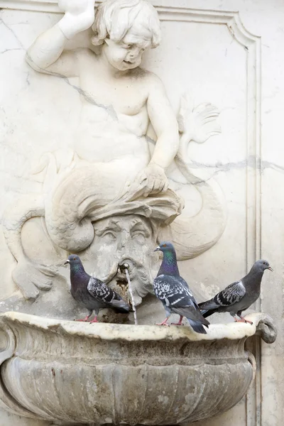 Tres palomas en la fuente de agua — Foto de Stock