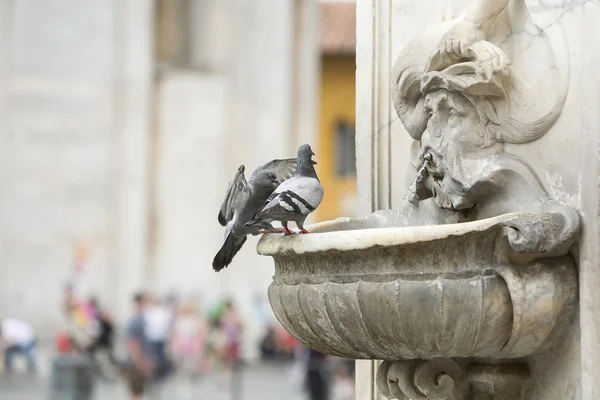 Dos palomas de pie sobre una fuente de agua — Foto de Stock