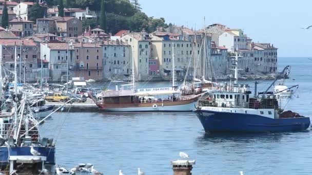 Bateaux au quai à Rovinj — Video