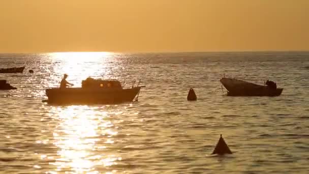 Båtar i Adriatiska havet — Stockvideo
