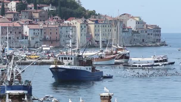 Boote an der Küste von Rovinj — Stockvideo