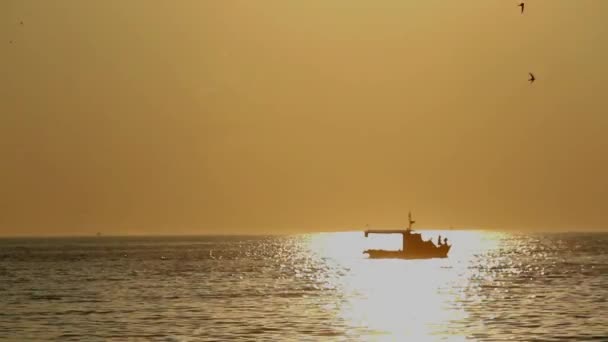 Ships sailing in Adriatic sea — Stock Video