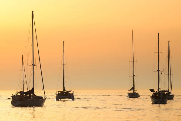 Voiliers au coucher du soleil dans la mer Adriatique — Photo