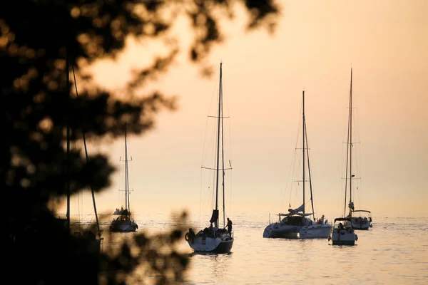 Voiliers en mer Adriatique au coucher du soleil — Photo