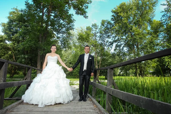 Newlyweds holding hands — Stock Photo, Image