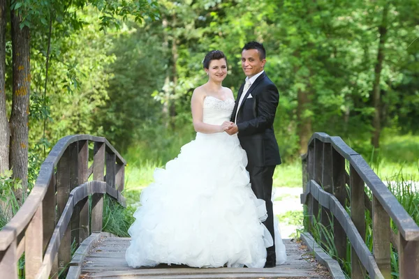 Bride and groom in nature — Stock Photo, Image