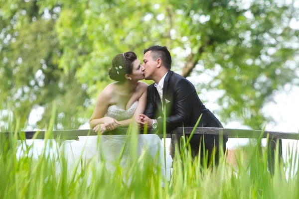 Newlyweds kissing in nature — Stock Photo, Image