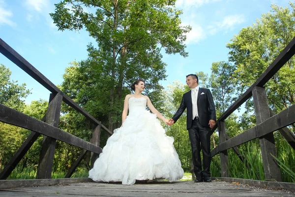 Bride and groom holding hands — Stock Photo, Image