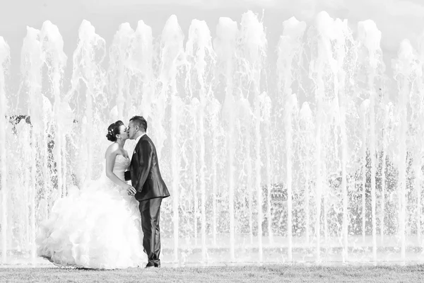 Bride and groom kissing in front of water fountain black and whi — Stock Photo, Image