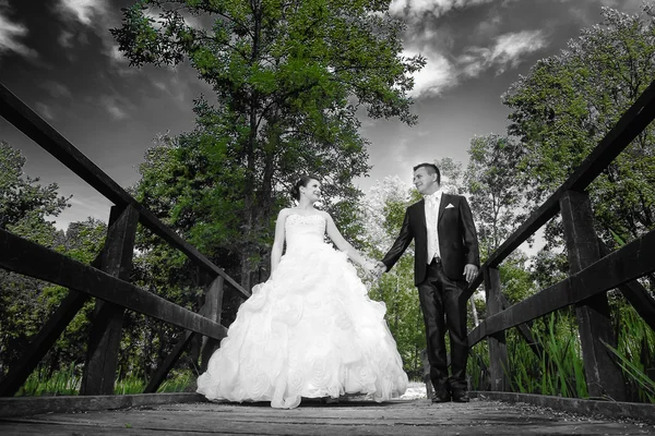 Bride and groom holding hands abstract — Stock Photo, Image