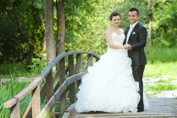 Wedding photo on wooden bridge — Stock Photo, Image