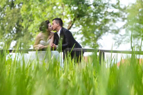 Recién casados besándose en puente de madera — Foto de Stock