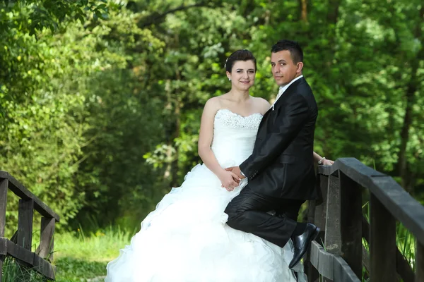 Newlyweds on wooden bridge in nature — Stock Photo, Image