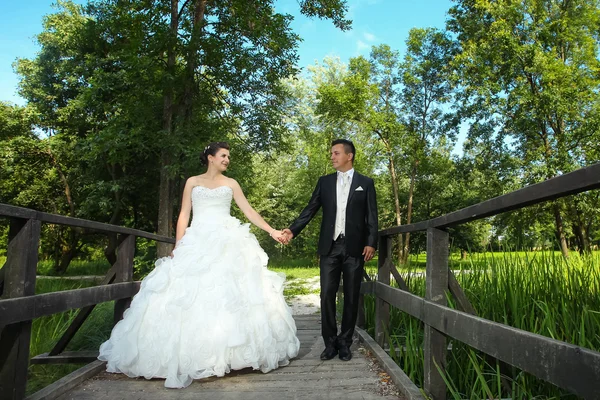 Bruiloft foto van pasgetrouwden — Stockfoto