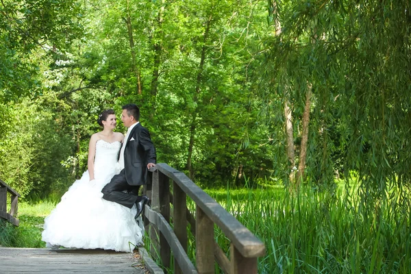 Novia y novio posando — Foto de Stock