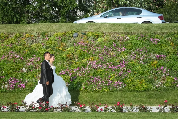 Newlyweds walking on pathway with flowers — Stock Photo, Image