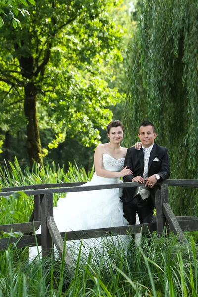 Bruid en bruidegom poseren in de natuur — Stockfoto