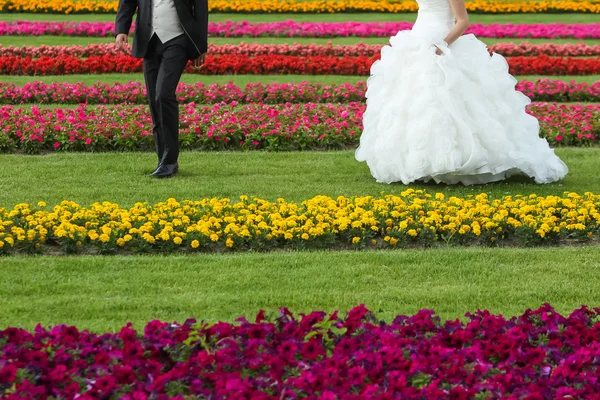 Bride and groom seen from waist down — Stock Photo, Image