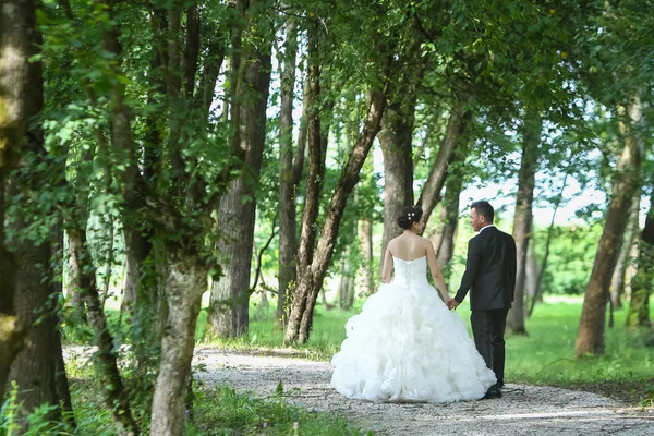 Bride and groom walking in nature — Stock Photo, Image
