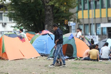 Belgrad'da Suriyeli mülteciler