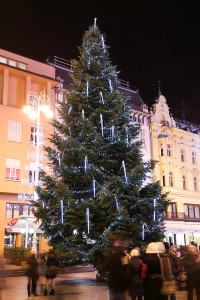 Árvore de Natal na Praça Jelacic — Fotografia de Stock