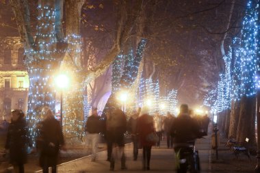 Decorated plane tree alley on Zrinjevac
