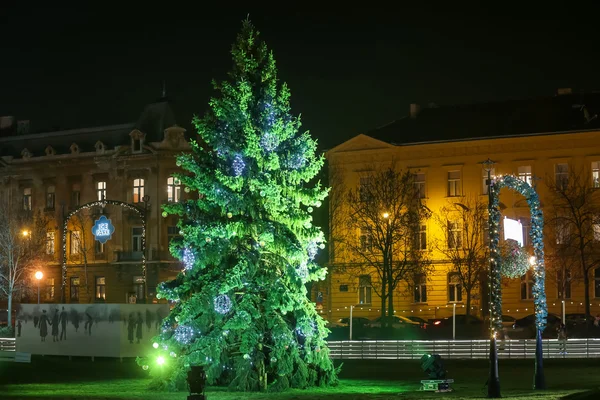 Christmas tree in Zagreb — Stock Photo, Image