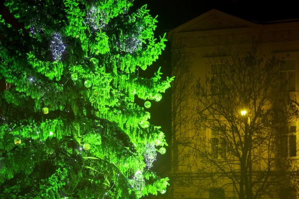 Árvore de Natal verde no Advento — Fotografia de Stock