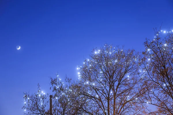 Иллюминированная верхушка дерева во время Адвента — стоковое фото